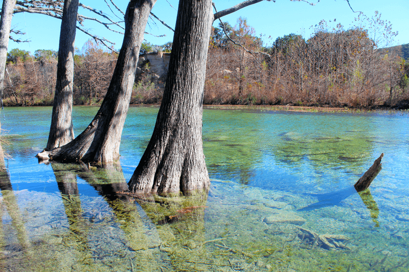 The Frio River in Concan, Texas