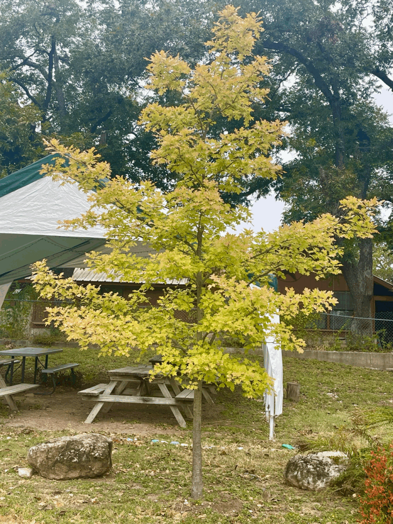 frio river vacation rentals